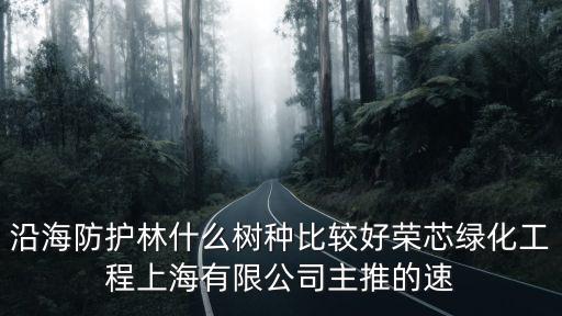 沿海防護林什么樹種比較好榮芯綠化工程上海有限公司主推的速