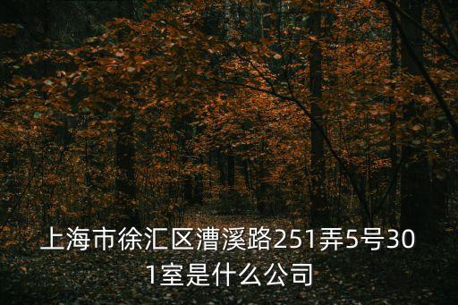 上海市徐匯區漕溪路251弄5號301室是什么公司