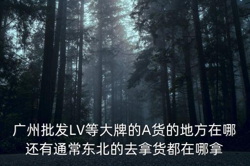 廣州批發(fā)LV等大牌的A貨的地方在哪還有通常東北的去拿貨都在哪拿