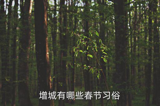 廣州增城民俗習俗，增城的風俗