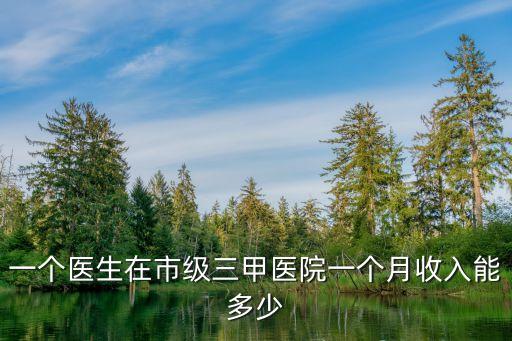 上海市三甲醫院人員工資，上海醫生工資多少