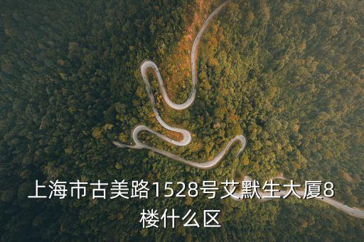 上海市艾默生大廈，上海市古美路1528號艾默生大廈8樓什么區
