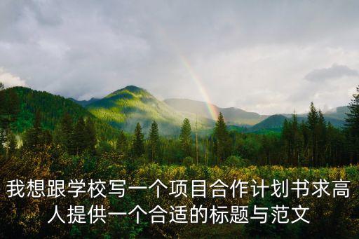 合作方案范本，求合伙做生意的方案