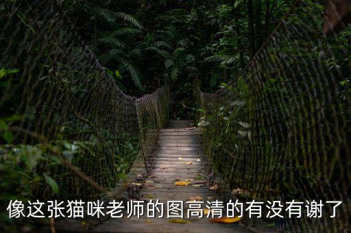 像這張貓咪老師的圖高清的有沒有謝了
