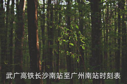 武廣高鐵長沙南站至廣州南站時刻表