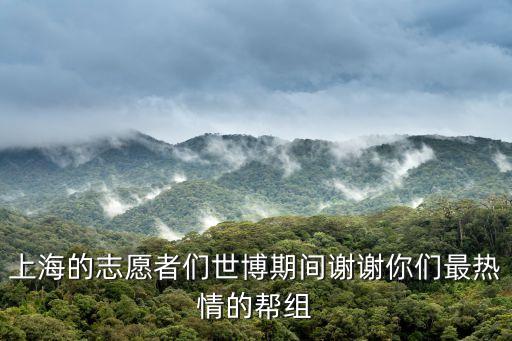 上海市志愿者海報，上海青年志愿者