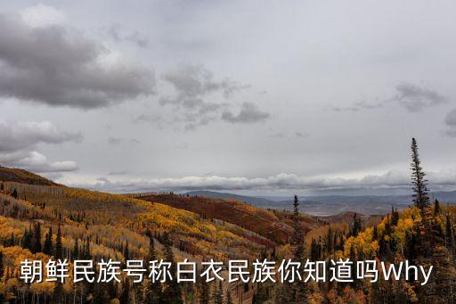 白衣民族，有白衣民族之稱的少數民族是