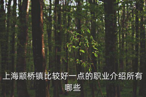 上海顓橋鎮比較好一點的職業介紹所有哪些