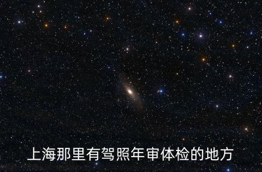 上海那里有駕照年審體檢的地方