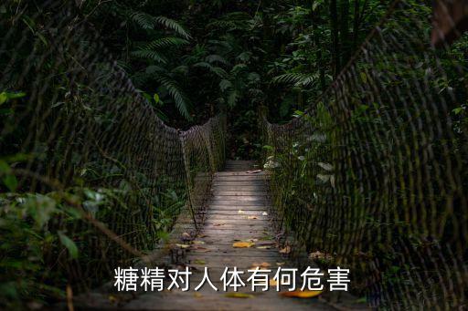 甜味劑的危害，簡(jiǎn)寫甜味劑對(duì)人體的危害