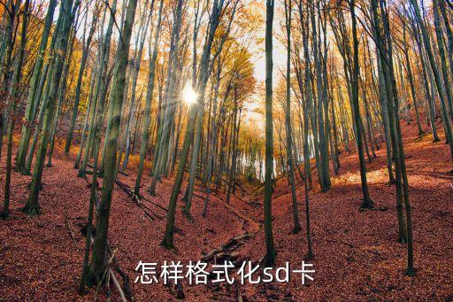 怎么格式化sd卡，怎樣格式化sd卡