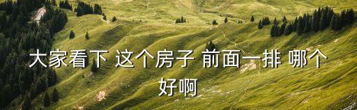 大家看下 這個房子 前面一排 哪個好啊
