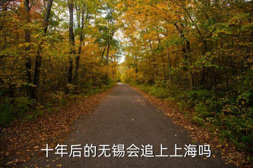 無錫會成為上海市嗎，十年后的無錫會追上上海嗎
