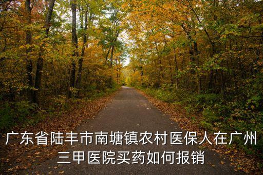 廣東省陸豐市南塘鎮農村醫保人在廣州三甲醫院買藥如何報銷