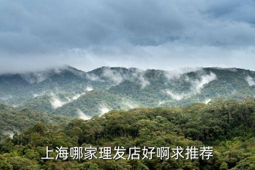 上海哪家理發(fā)店好啊求推薦