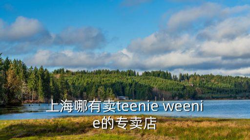 上海哪有賣teenie weenie的專賣店