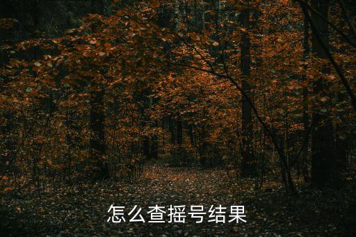 怎么查搖號結果