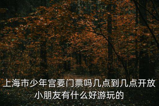 上海市少年宮要門票嗎幾點到幾點開放小朋友有什么好游玩的