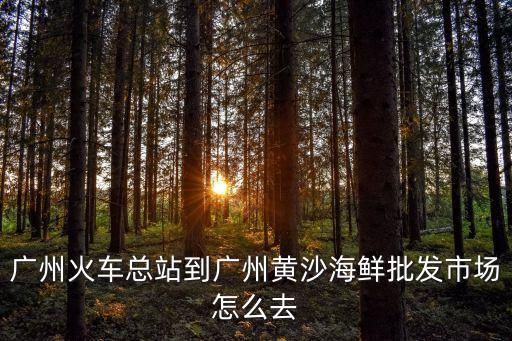 廣州火車總站到廣州黃沙海鮮批發市場怎么去