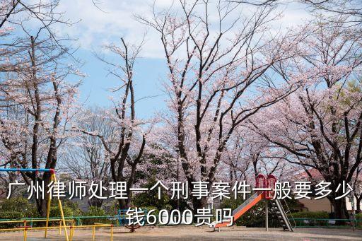 廣州律師處理一個刑事案件一般要多少錢6000貴嗎