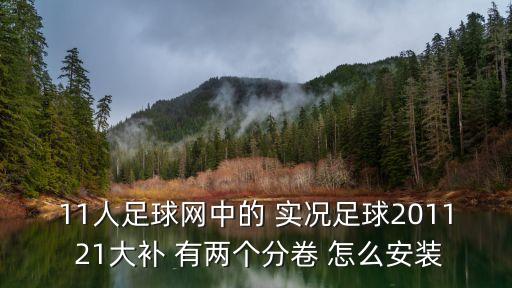 11人足球網(wǎng)中的 實(shí)況足球2011 21大補(bǔ) 有兩個(gè)分卷 怎么安裝