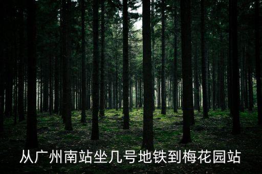 廣州南站到梅花園站地鐵怎么坐，從廣州南站坐幾號地鐵到梅花園站