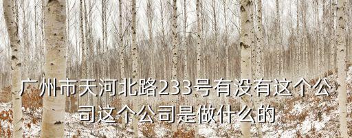 廣州市天河北路233號有沒有這個公司這個公司是做什么的
