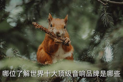 哪位了解世界十大頂級(jí)音響品牌是哪些