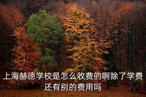 上海市赫德國際，上海赫德一個班有多少個學生