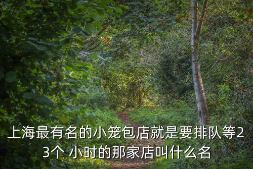 上海最有名的小籠包店就是要排隊等23個 小時的那家店叫什么名