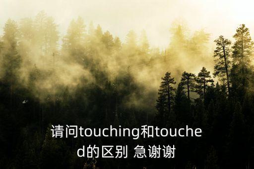 請問touching和touched的區別 急謝謝
