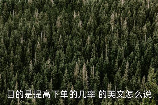 目的英文，目的是提高下單的幾率 的英文怎么說