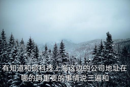 有知道和碩科技上海這邊的公司地址在哪的嗎重要的事情說三遍和