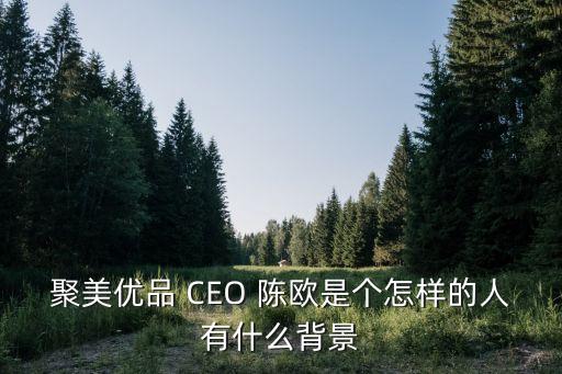 聚美優品年銷售額，聚美優品 CEO 陳歐是個怎樣的人有什么背景