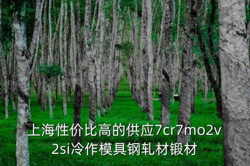 上海性價比高的供應7cr7mo2v2si冷作模具鋼軋材鍛材