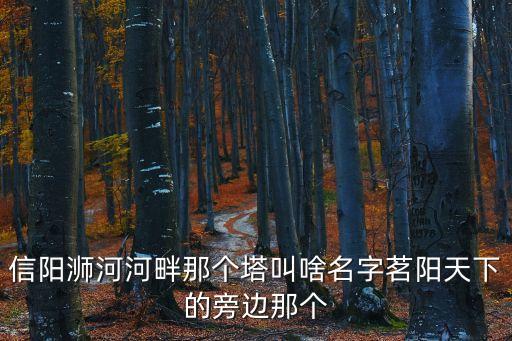 信陽浉河河畔那個塔叫啥名字茗陽天下的旁邊那個