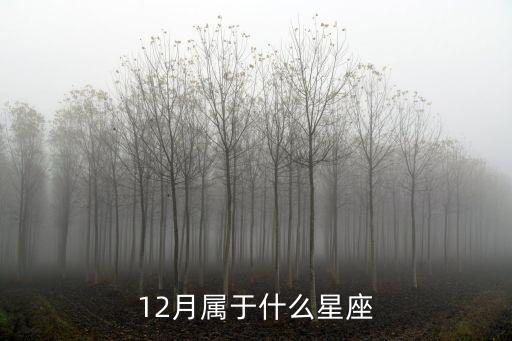 12月屬于什么星座