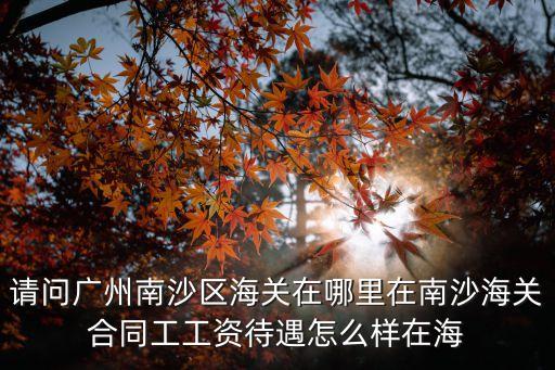 請(qǐng)問(wèn)廣州南沙區(qū)海關(guān)在哪里在南沙海關(guān)合同工工資待遇怎么樣在海