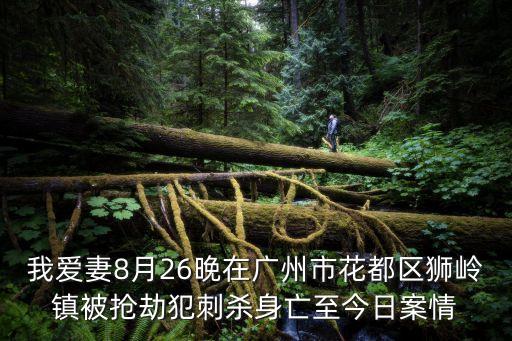 我愛妻8月26晚在廣州市花都區獅嶺鎮被搶劫犯刺殺身亡至今日案情
