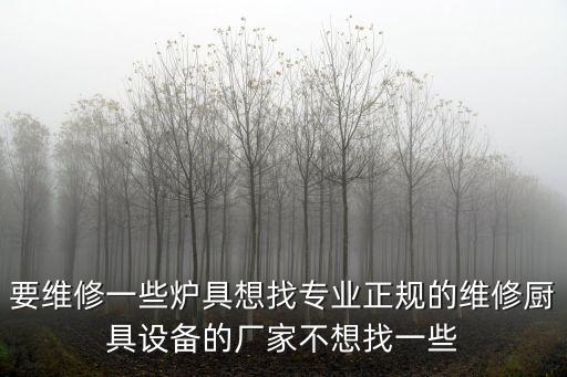要維修一些爐具想找專業正規的維修廚具設備的廠家不想找一些