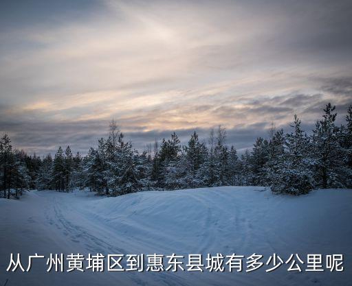 從廣州黃埔區到惠東縣城有多少公里呢