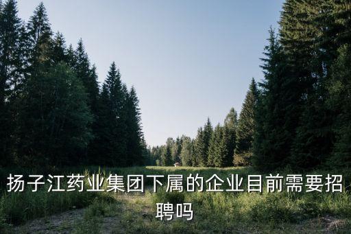 揚子江藥業集團下屬的企業目前需要招聘嗎