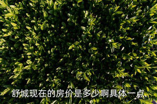 上海市舒城縣房價(jià)，舒城現(xiàn)在的房價(jià)是多少啊具體一點(diǎn)