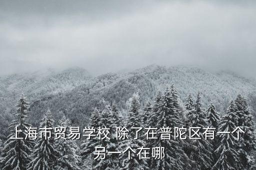 上海市貿易學校 除了在普陀區有一個 另一個在哪