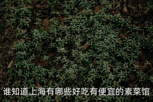 誰知道上海有哪些好吃有便宜的素菜館
