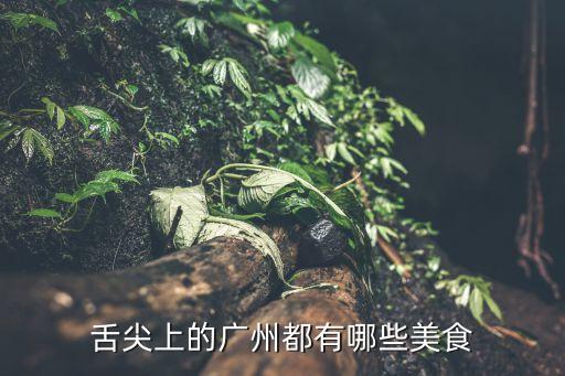 正宗廣州美食食譜大全，廣州有什么好吃的美食
