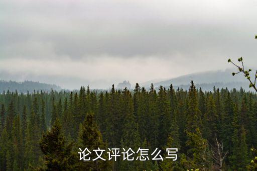 論文評論怎么寫