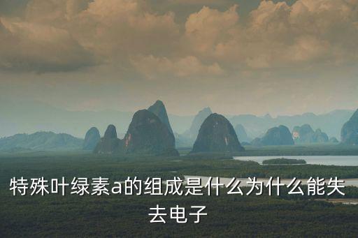 葉綠素a，葉綠素a的成分