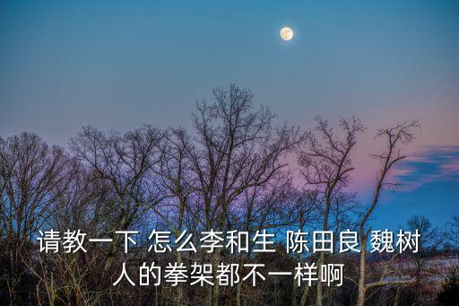 請(qǐng)教一下 怎么李和生 陳田良 魏樹人的拳架都不一樣啊