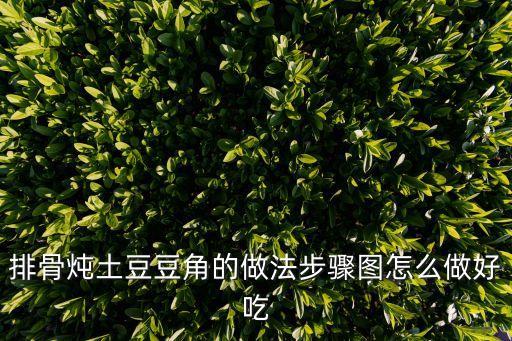 土豆排骨燉豆角，排骨燉土豆豆角的做法步驟圖怎么做好吃
